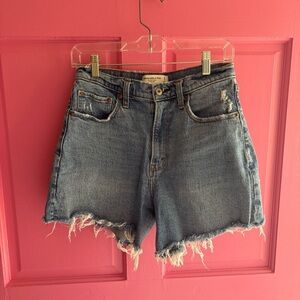 Abercrombie & Fitch the dad short